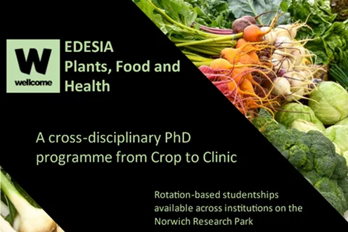 image-449a998c693c923e9c99d7a237ed1c1a4cfc2039-496x350-png